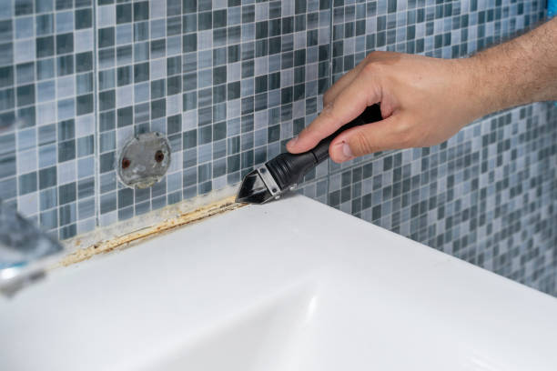 Best Insurance-Related Mold Remediation in Badieville, LA