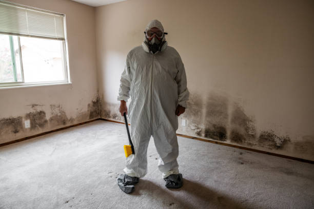 Best Health and Safety Mold Remediation in Badieville, LA
